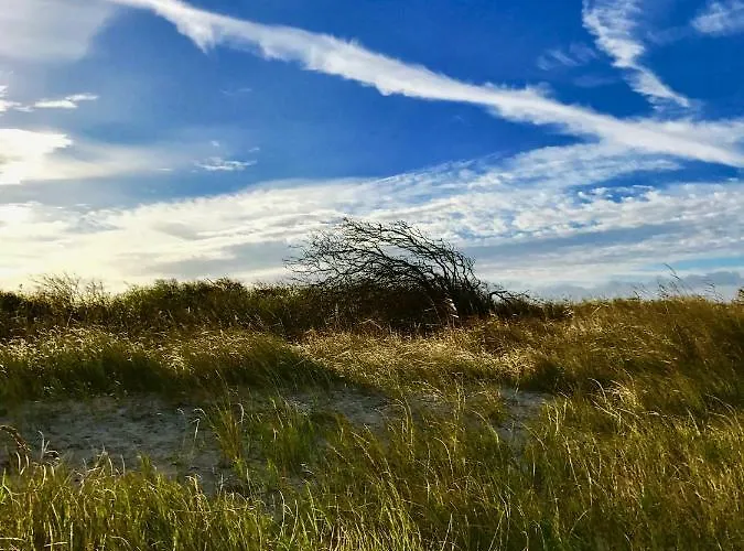 Апартаменты Ferienwohnung-strandspaziergang, Kleine *